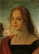 Rosso Fiorentino Portrait of a Young Woman oil on canvas